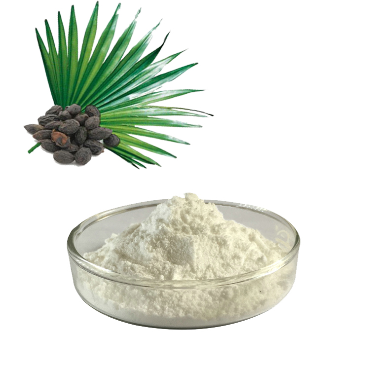 Saw Palmetto ထုတ်ယူမှုကဘာလဲ။ ပြီးတော့ Saw Palmetto Extract အကျိုးကျေးဇူးကဘာလဲ။