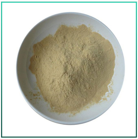 Green Tea Extract Powder သည် ထိရောက်သော ကိုယ်အလေးချိန်ကျစေသည် ။